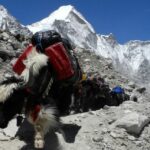 Manaslu Circuit Trek Weather & Best Time To Go