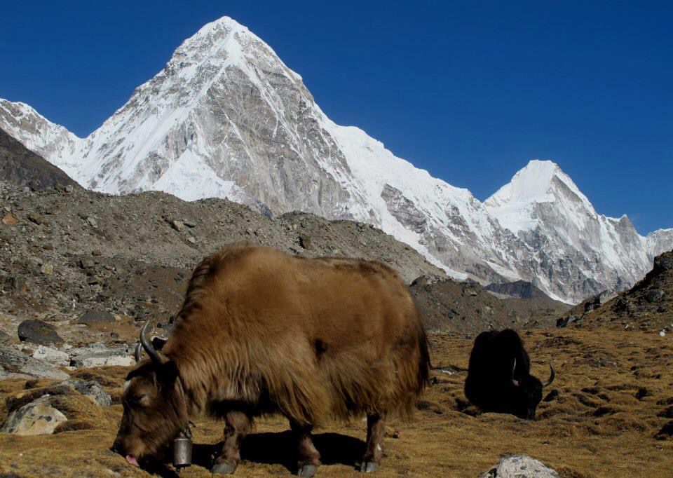 Langtang Region